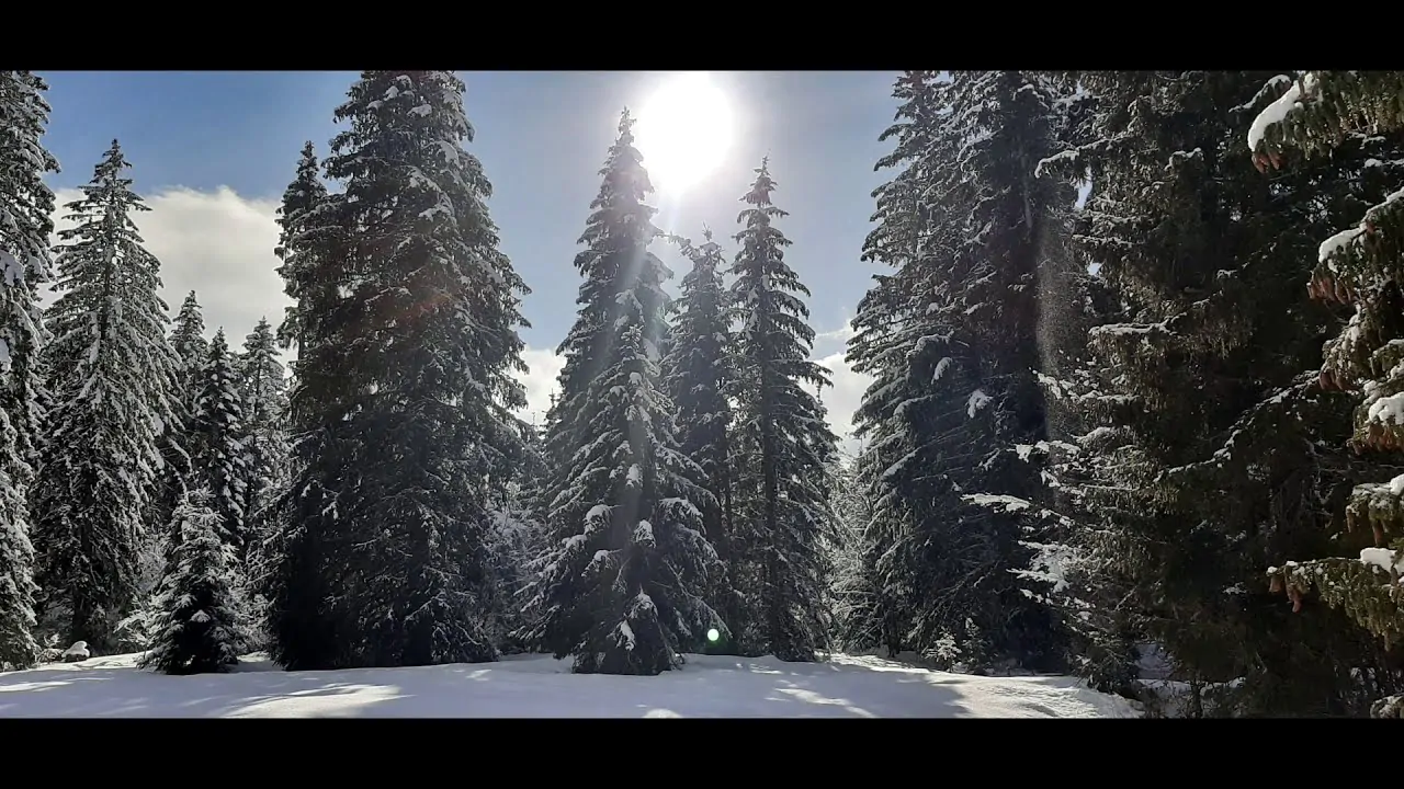 ski de fond jura : découvrez un paradis transfrontalier avec un seul pass et des kilomètres de plaisir!